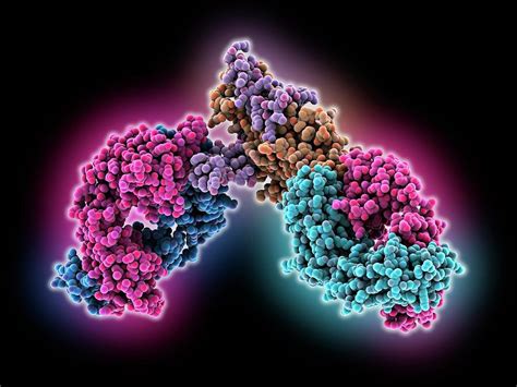 Ebola Virus Glycoprotein Complex Photograph by Laguna Design/science Photo Library