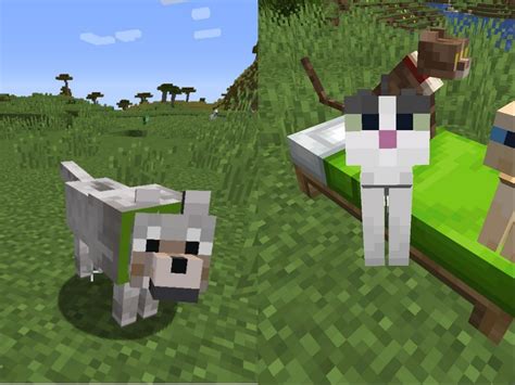 pets: How to heal pets in Minecraft