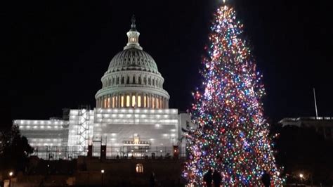 WATCH: Christmas decorations light up cities around the world