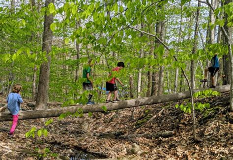 35 Camden Maine Hiking Trails to Explore in 2024