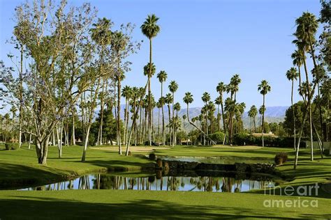 Rancho Mirage Golf Course by Nina Prommer | Rancho mirage, Rancho, Golf courses