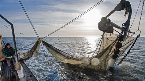 Trawlers: The new Pirates of the Mediterranean Sea | Earth Journalism Network