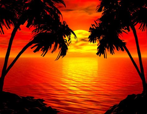 Sunset Pictures Tropical | Important Wallpapers