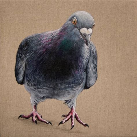 Pigeon B90109 Painting by Robin Pugh | Saatchi Art