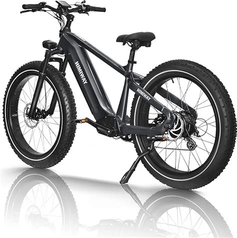 Himiway Zebra Electric Bike, 60~80MI Long Range Mountain E-Bike, 750W Motor,26" Fat Tires ...