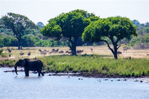 Guide to Game Driving in Kruger National Park, South Africa | Just ...