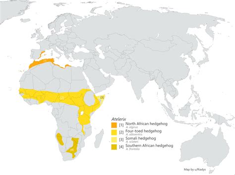 Distribution of Hedgehog Species : r/Maps