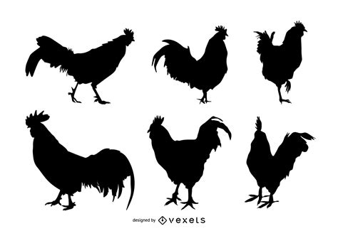 Rooster Silhouette Set Vector Download