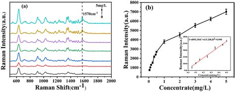 a SERS spectra of amaranth red carbonated drinks solution with ...