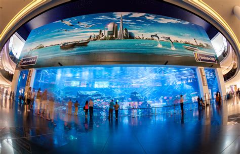 The most beautiful aquariums around the world