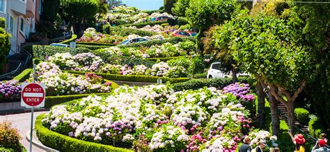 Lombard Street - The Most Unusual And The Most Popular Street in The ...