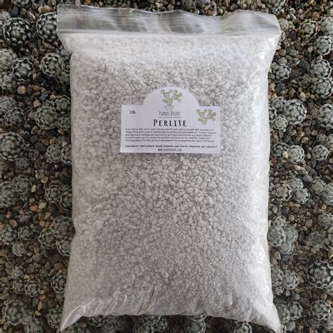 Perlite 1 Lb porosity soil amendment for cactus and succulents | Succulents, Soil, Succulent care