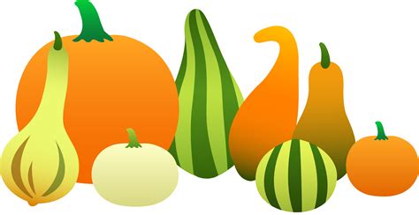 Squash clipart 20 free Cliparts | Download images on Clipground 2024