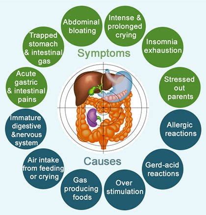 What Causes Bloating And Gases - PELAJARAN