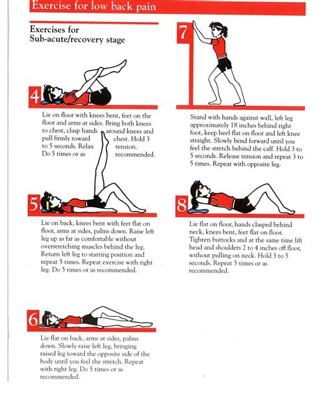 Pin on Back pain exercises