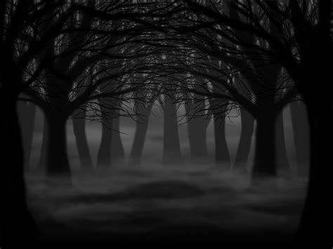 Dark Forest by ShyStriker on DeviantArt