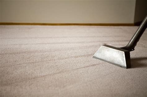 Dry Carpet Cleaning vs. Steam Cleaning: Pros and Cons | HGTV