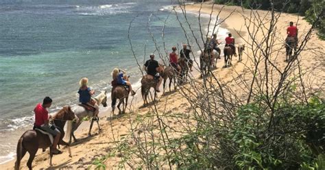 Colón Horse Riding | Discover Puerto Rico