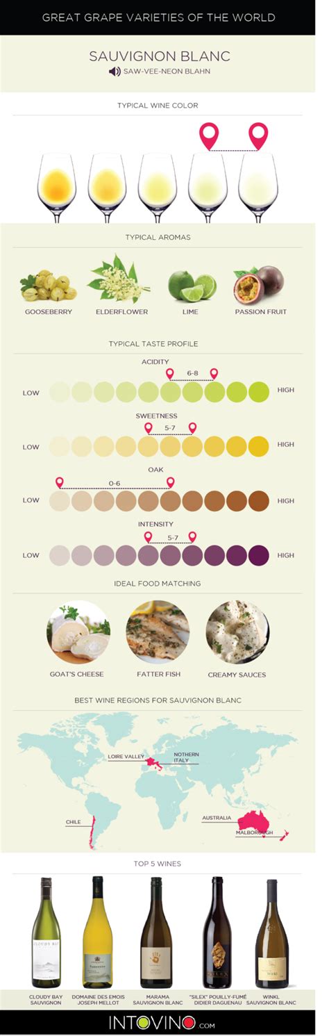 Everything you need to know about Sauvignon Blanc