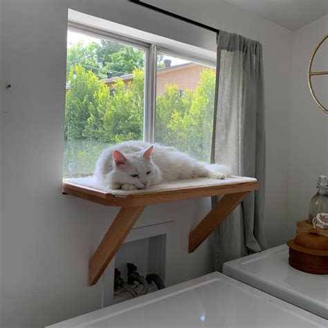 Cat Window Perch Cat Shelf Cat Bed No Tools Installation | Etsy