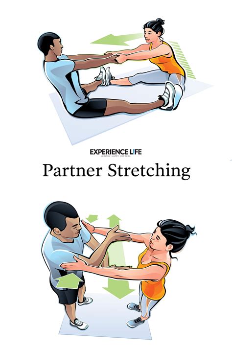 4 Stretches Your Can Do With a Partner | Partner stretches, Fun ...