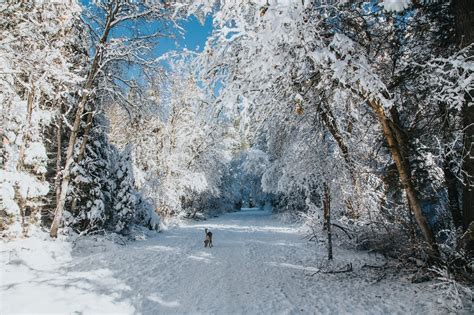 Utah Winter Wonderland