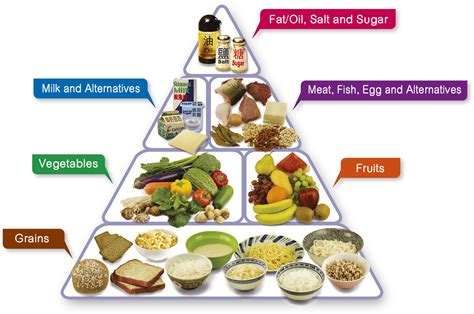 Types Of Food Pyramid