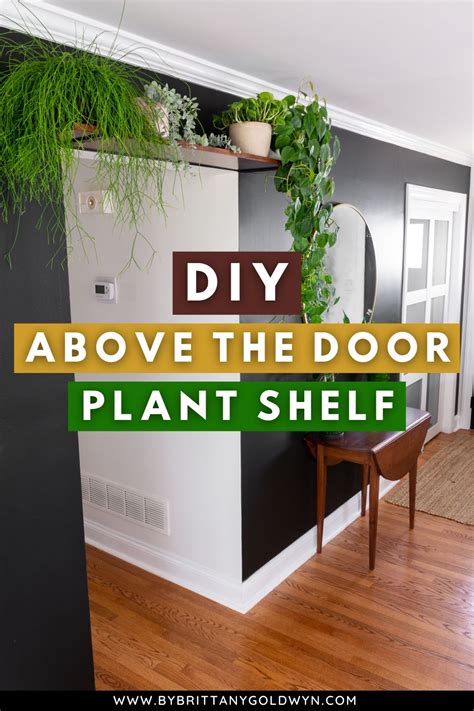 How to hang a DIY above the door plant shelf in 2023 | Plant shelves, Room with plants, Doorway ...