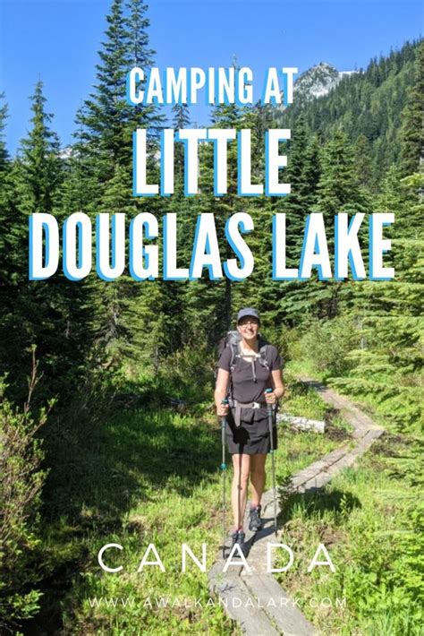 Camping at Little Douglas Lake - A walk and a lark