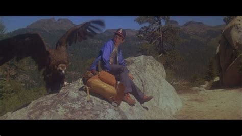 Day of the Animals (1977) Review - Cinematic Diversions