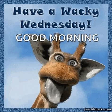 Wacky Wednesday GIF – Wacky Wednesday Excited – Откриване и споделяне на GIF файлове