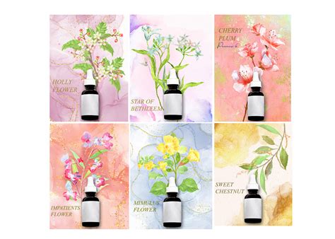 flower design for aroma theraphy product by Febri kurniawan on Dribbble