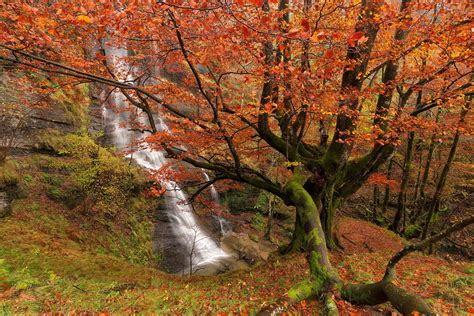 Waterfall in Autumn Forest