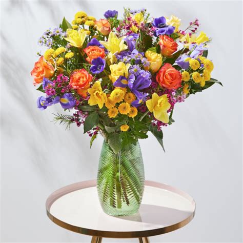 Spring Celebration – Beautiful & Affordable Orchids by Post