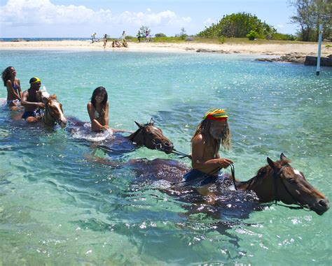 Horseback Ride in the Ocean | Places I will go | 100 things to do, Travel y Horseback riding