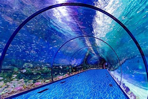 2024 The National Aquarium Abu Dhabi - Tripadvisor