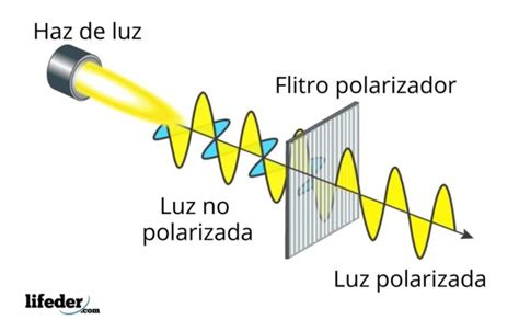 Polarización de la luz: tipos, ejemplos, aplicaciones