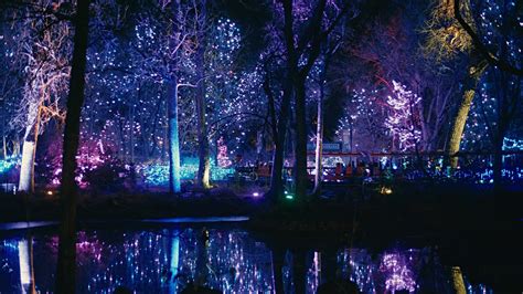 Denver Zoo Lights low-sensory night set for New Year's Eve | 9news.com