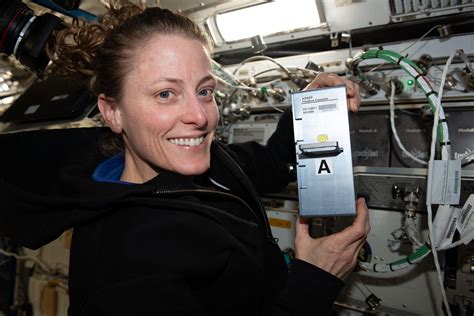 Zero Gravity, High Stakes: ISS Crew’s Health and Biology Experiments Amid Dragon’s Countdown