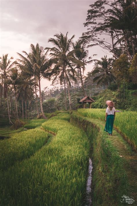 Gunung Kawi: The Temple Built by a Giant - Miles & Smiles Away