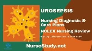 Urosepsis Nursing Diagnosis & Care Plan - NurseStudy.Net