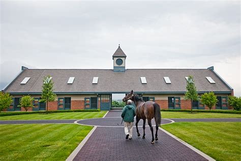 Horse Breeding Farms