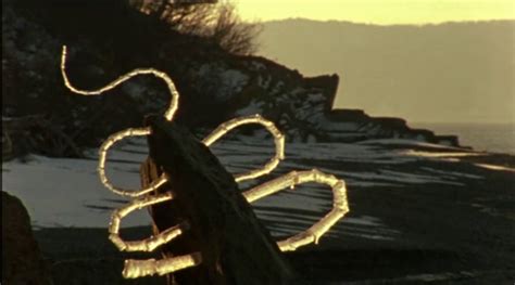 Andy Goldsworthy's Rivers and Tides - Top Documentary Films