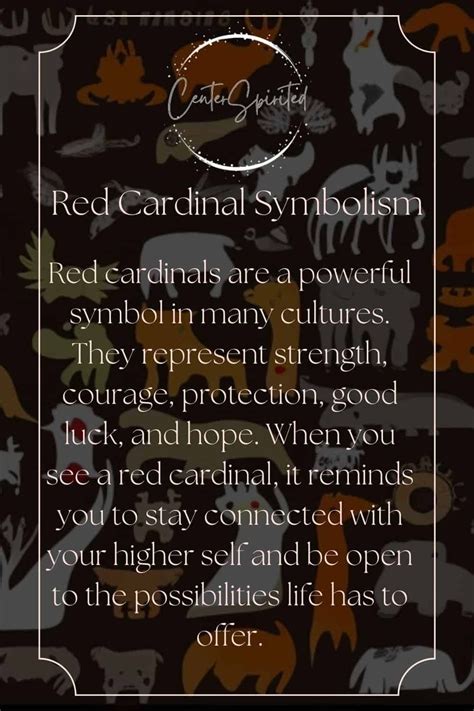 The Symbolism of Cardinals: Unlocking their Meaning