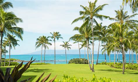 Kapalua Bay Vacation Rentals & Homes - Kapalua, HI | Airbnb