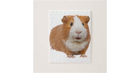 red guinea pig jigsaw puzzle | Zazzle