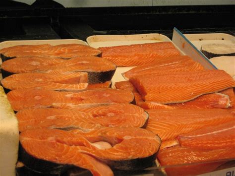 Wild Salmon vs. Farmed Salmon – Which One You Should Buy | Top Natural Remedies