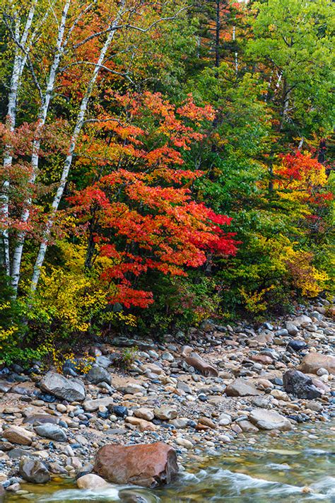 Fall in New Hampshire on Behance