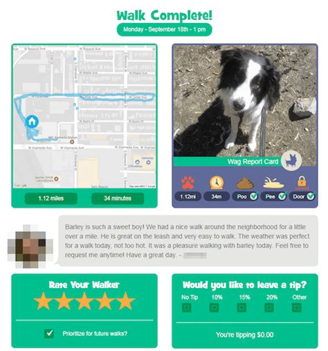 Rover vs Wag: Which Dog Walking App Leads the Pack?