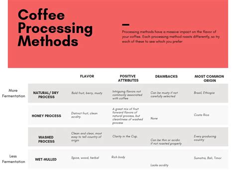 Understanding Coffee Processing: Learn What You Love – The Home Roast